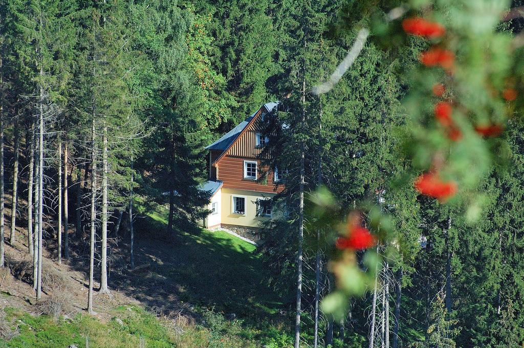 Appartamento Vila Eden Pec pod Snezkou Esterno foto